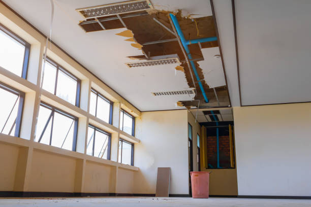 Best Flood damage cleanup  in East Williston, NY
