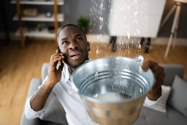 Best Residential water damage restoration  in East Williston, NY