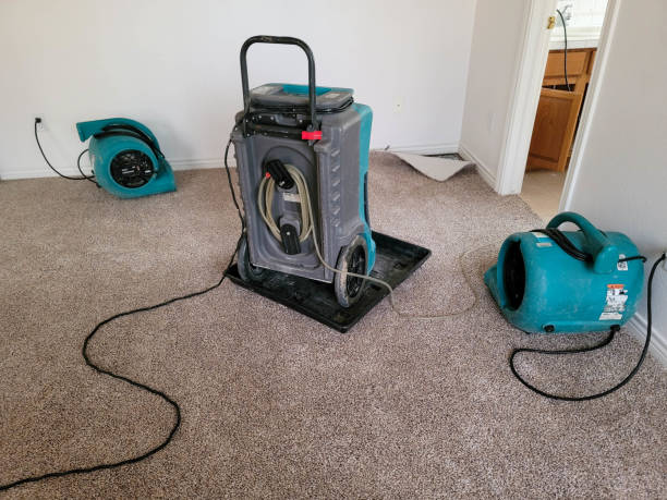 Best Flood restoration services  in East Williston, NY
