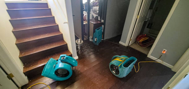 Best Water damage restoration near me  in East Williston, NY