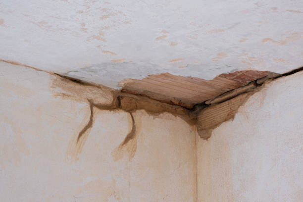 Best Residential water damage restoration  in East Williston, NY