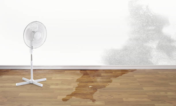 Best Water damage restoration near me  in East Williston, NY
