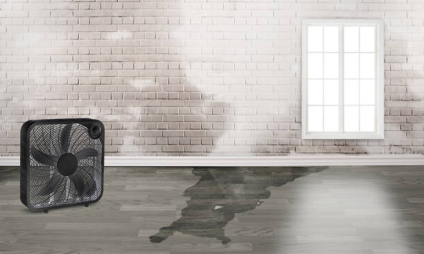 Best 24/7 water damage repair  in East Williston, NY
