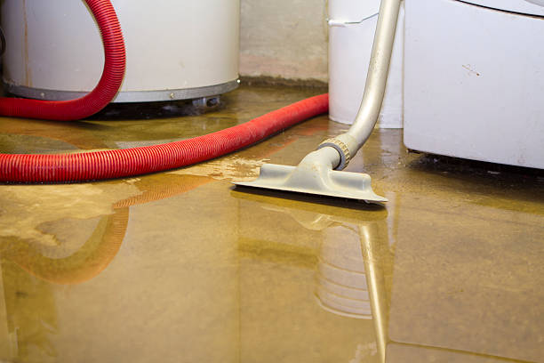 Best Water damage restoration mold remediation  in East Williston, NY