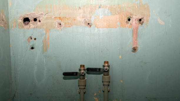  East Williston, NY Water damage restoration Pros