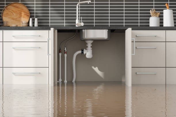 Best Water damage restoration company  in East Williston, NY