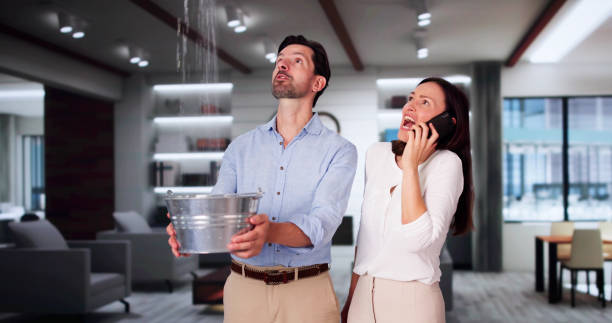 Best Carpet water damage restoration  in East Williston, NY